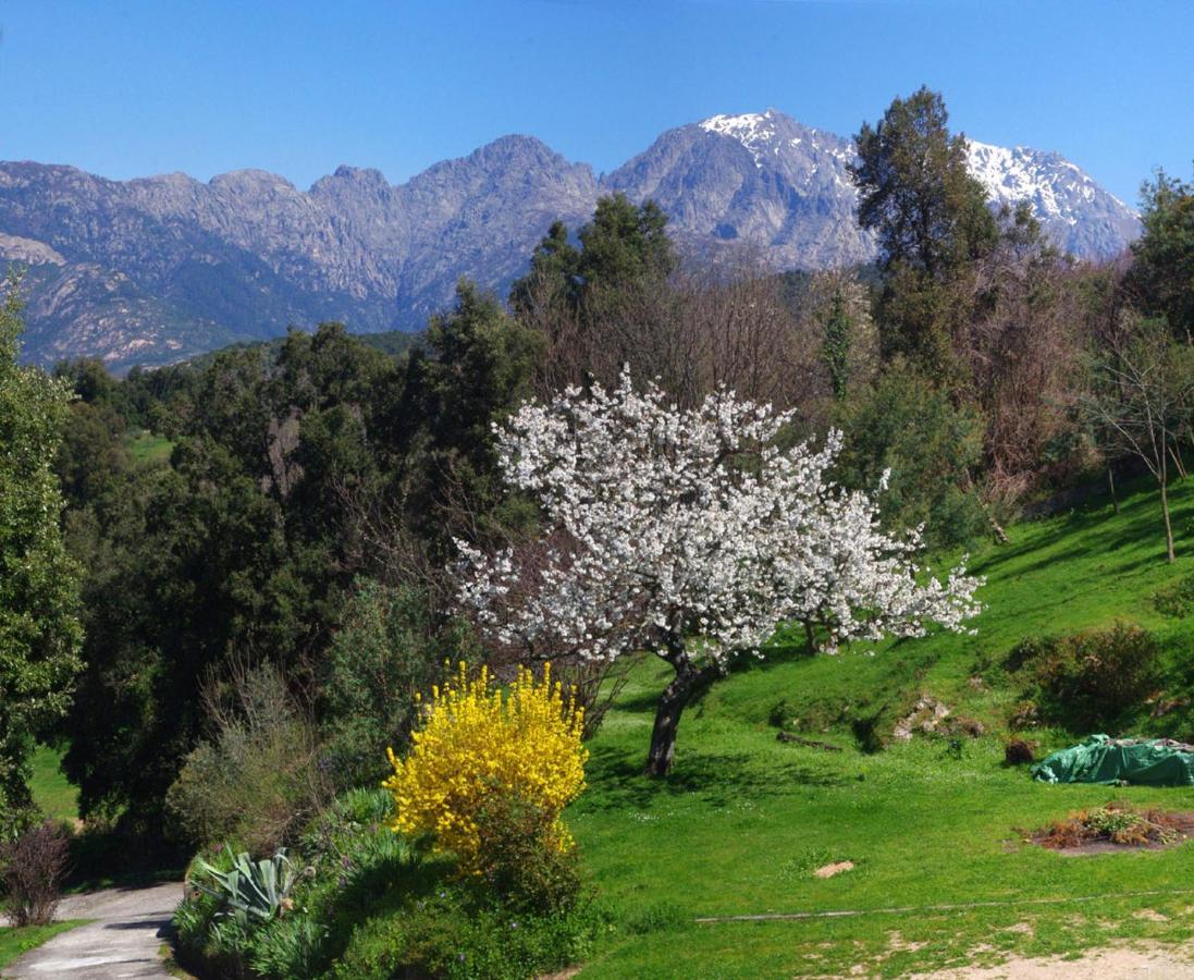 95M2 Au Calme A 25Mn Ajaccio, Plages, Linge Inclus Parking Ok Ucciani Dış mekan fotoğraf