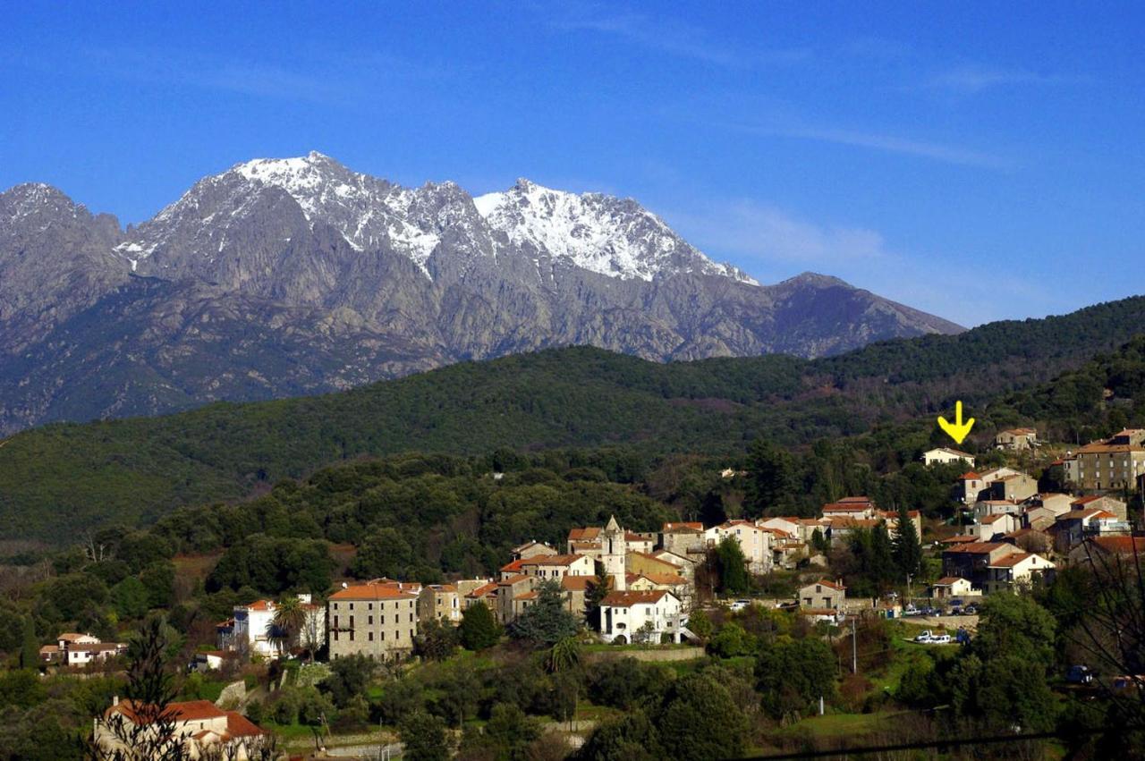 95M2 Au Calme A 25Mn Ajaccio, Plages, Linge Inclus Parking Ok Ucciani Dış mekan fotoğraf
