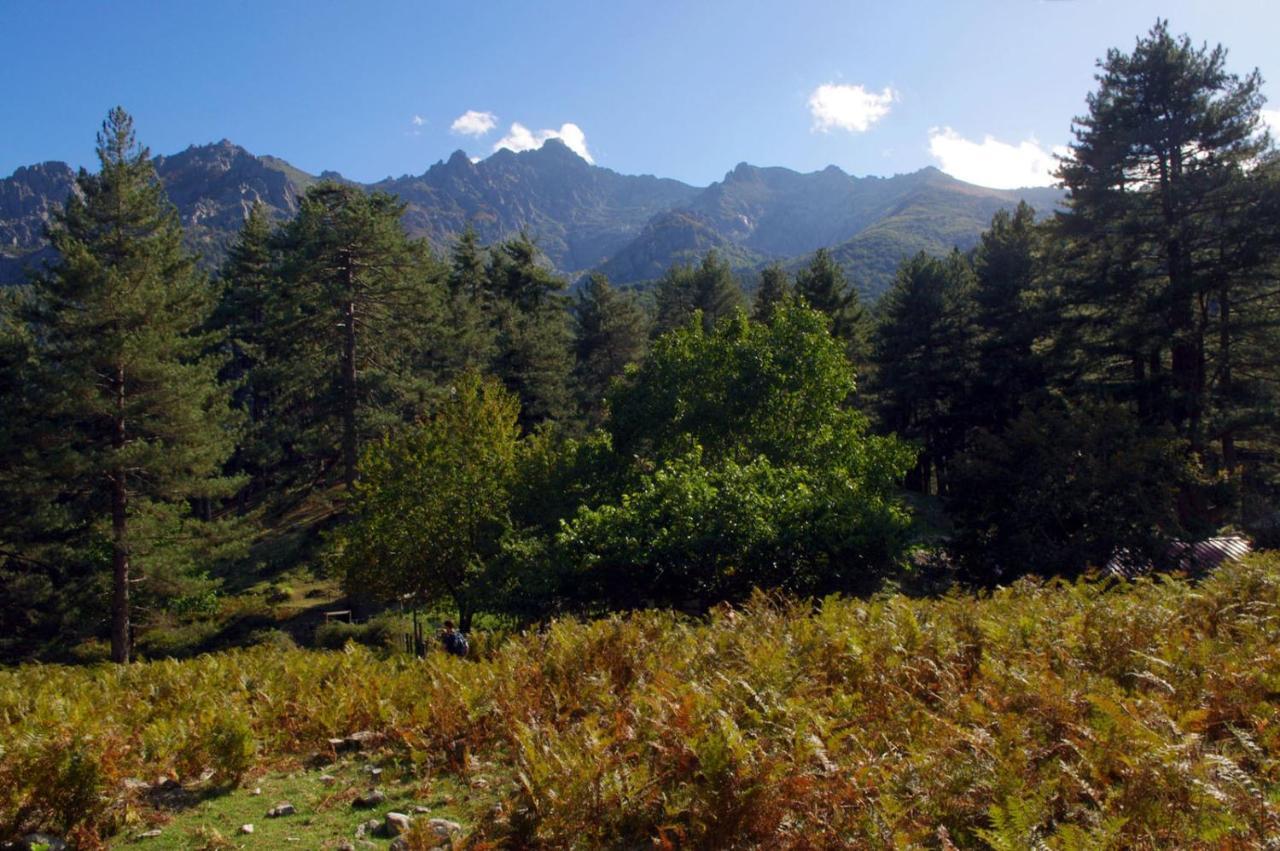 95M2 Au Calme A 25Mn Ajaccio, Plages, Linge Inclus Parking Ok Ucciani Dış mekan fotoğraf