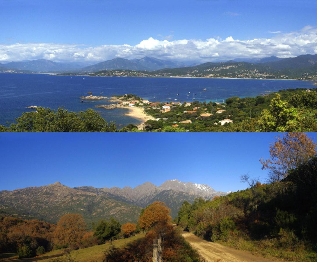 95M2 Au Calme A 25Mn Ajaccio, Plages, Linge Inclus Parking Ok Ucciani Dış mekan fotoğraf
