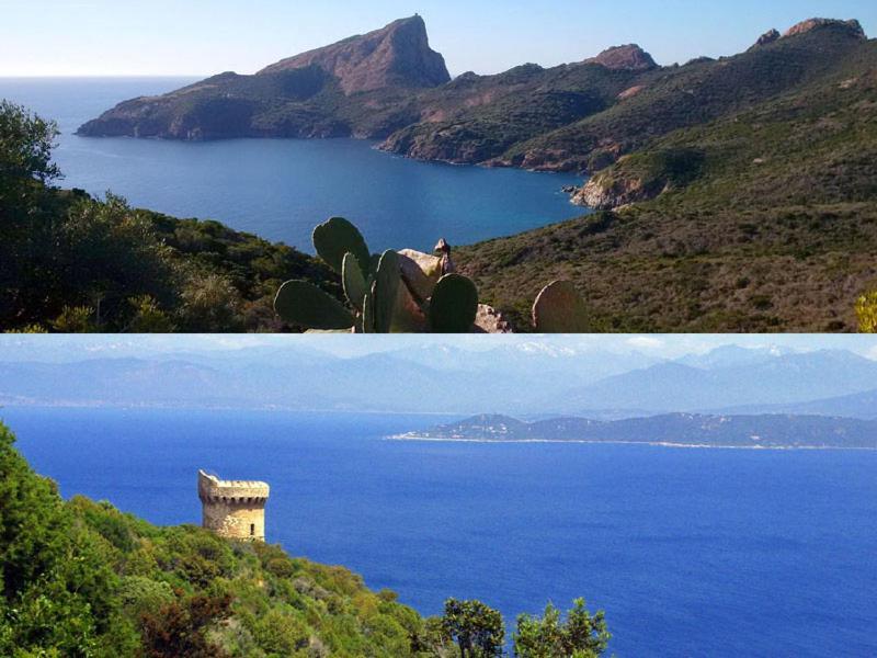 95M2 Au Calme A 25Mn Ajaccio, Plages, Linge Inclus Parking Ok Ucciani Dış mekan fotoğraf